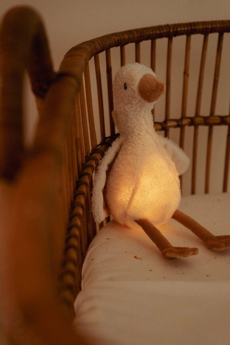 Little Dutch zoss ar skaņu un gaismu – mīksta mīļmantiņa mazulim ar LED nakts gaismu un šūpuļdziesmām.