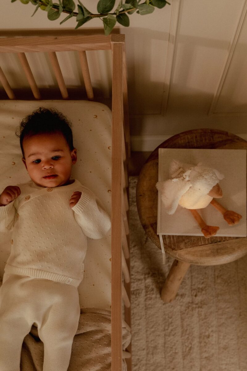 Little Dutch zoss ar skaņu un gaismu – mīksta mīļmantiņa mazulim ar LED nakts gaismu un šūpuļdziesmām.