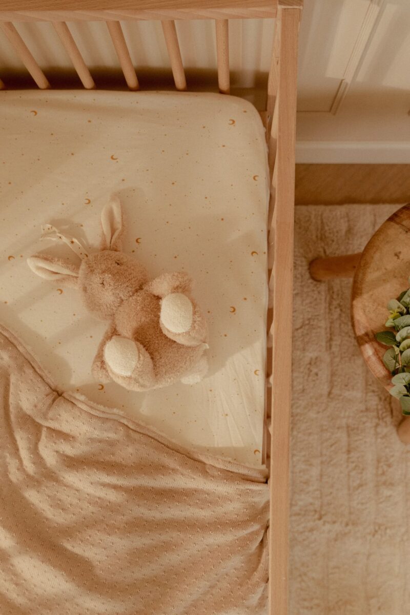 Little Dutch mīļmantiņa - Zaķis ar skaņu un gaismu